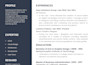 make professional CV, cover letter resume design with canva
